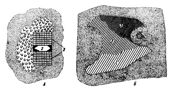 . 57. :  - : 1  ,  2  , 3  , 4  ;  - : 1 -  , 2 -, 3  , 4  